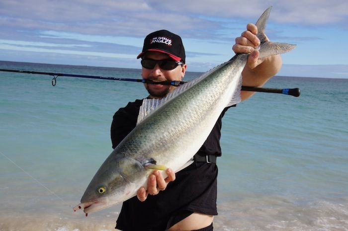 24 Aust Salmon 1