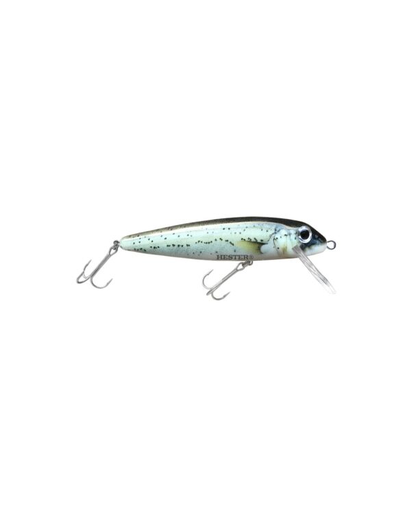 King George Whiting